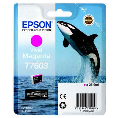 Cartuccia Epson C13T76034010 T7603 Orca originale MAGENTA