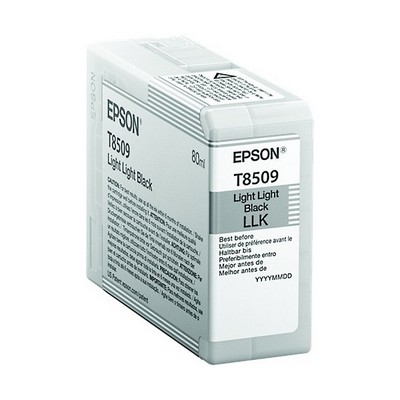 Cartuccia Epson C13T850900 T8509 originale NERO CHIARO CHIARO
